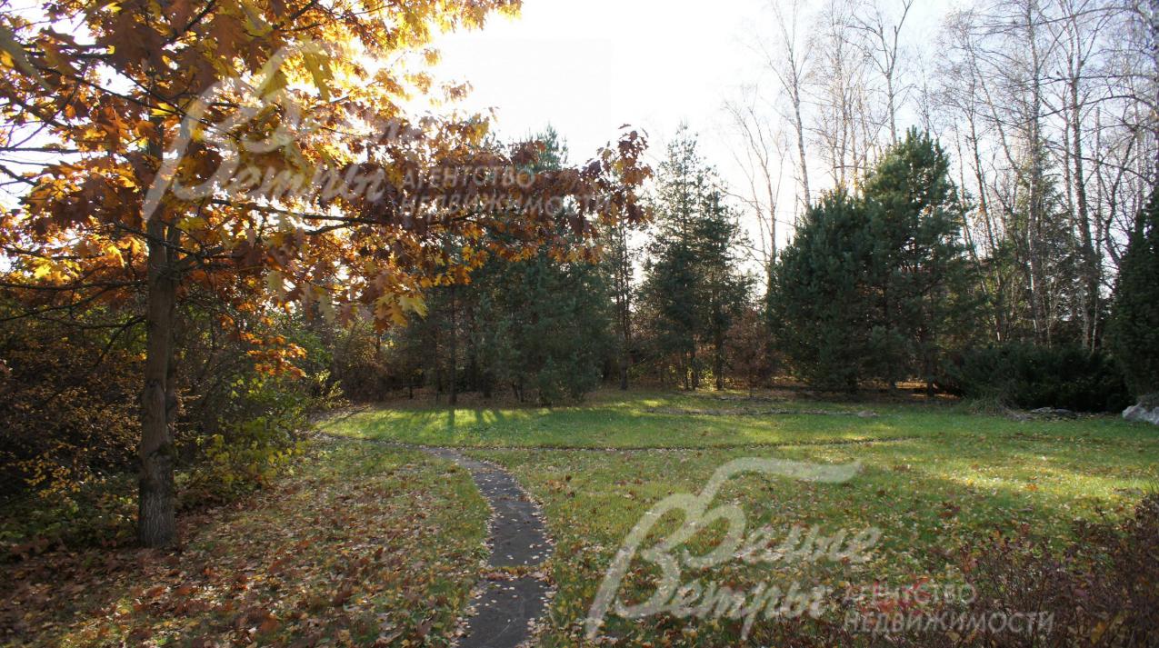 На участке газон, прогулочные дорожки, множество лесных и садовых деревьев