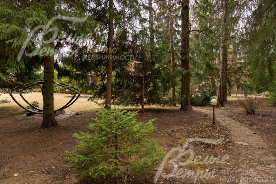 На участке - собственный выход в лес