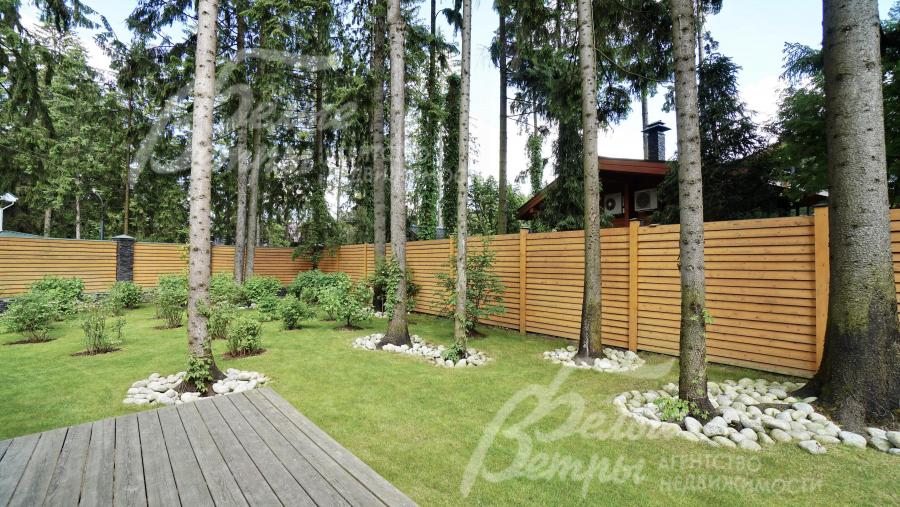 Земельный участок с вековыми елями 17 соток