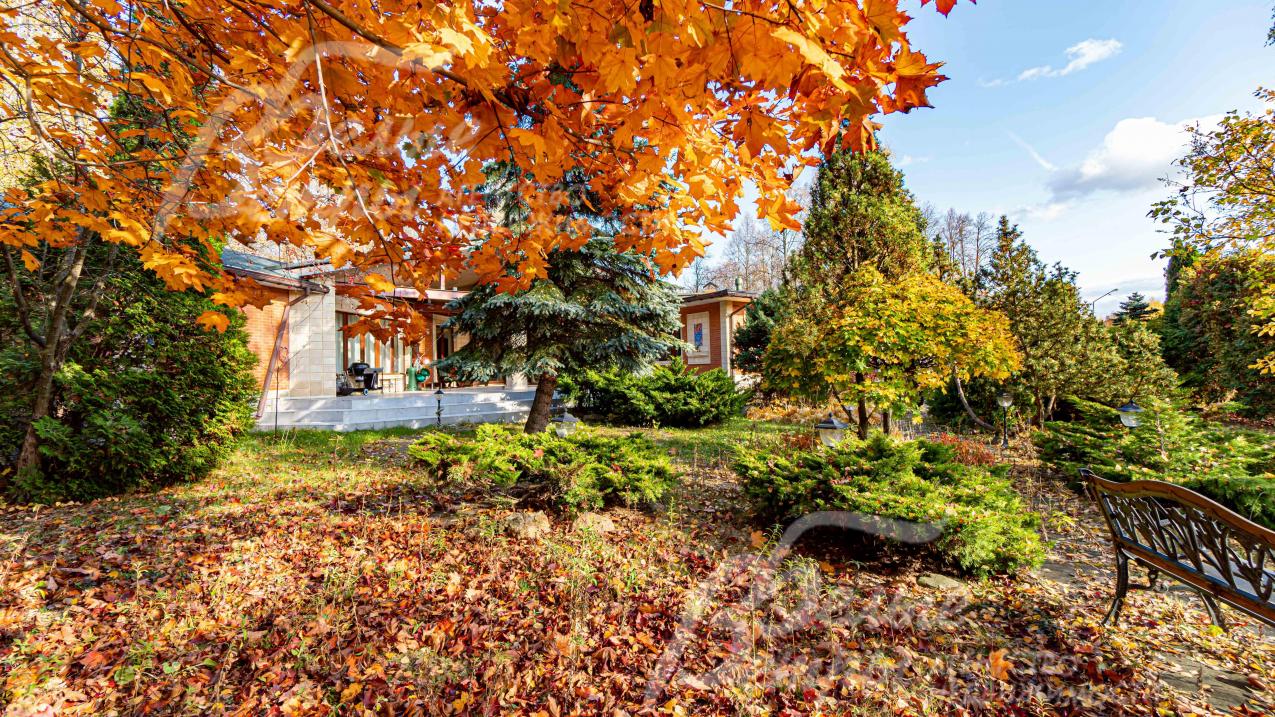 Лесной участок 58 соток с ландшафтным дизайном 