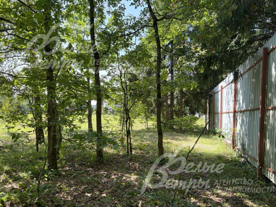 На участке сохранено несколько лесных деревьев для формирования эффектного ландшафтного дизайна