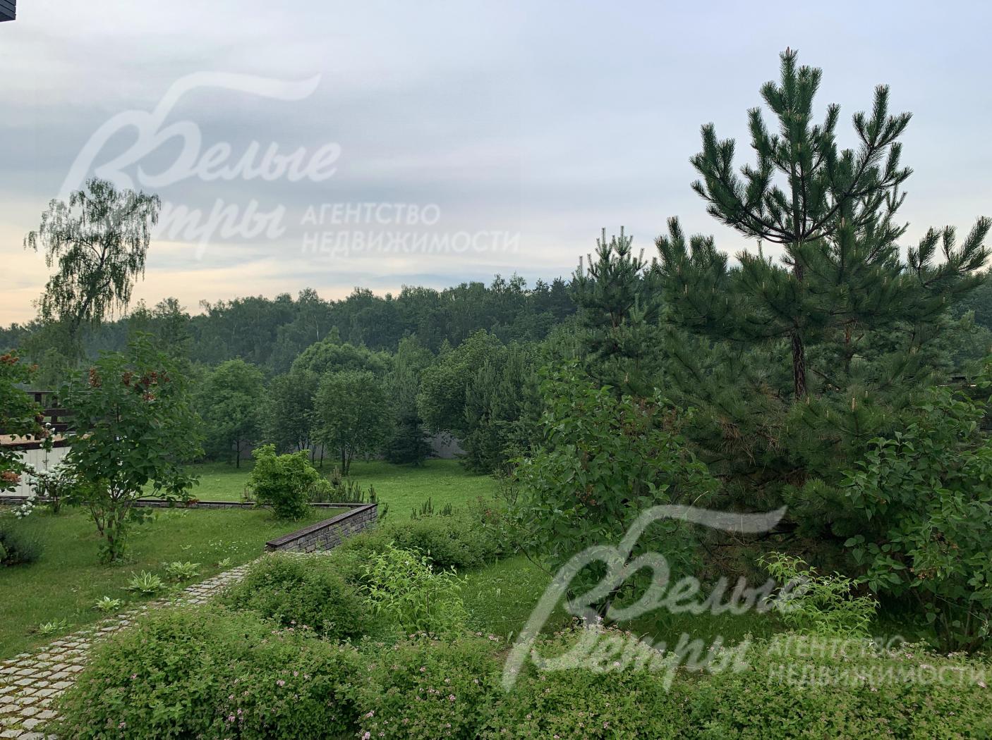 Участок с деревьями и прекрасным ландшафтом