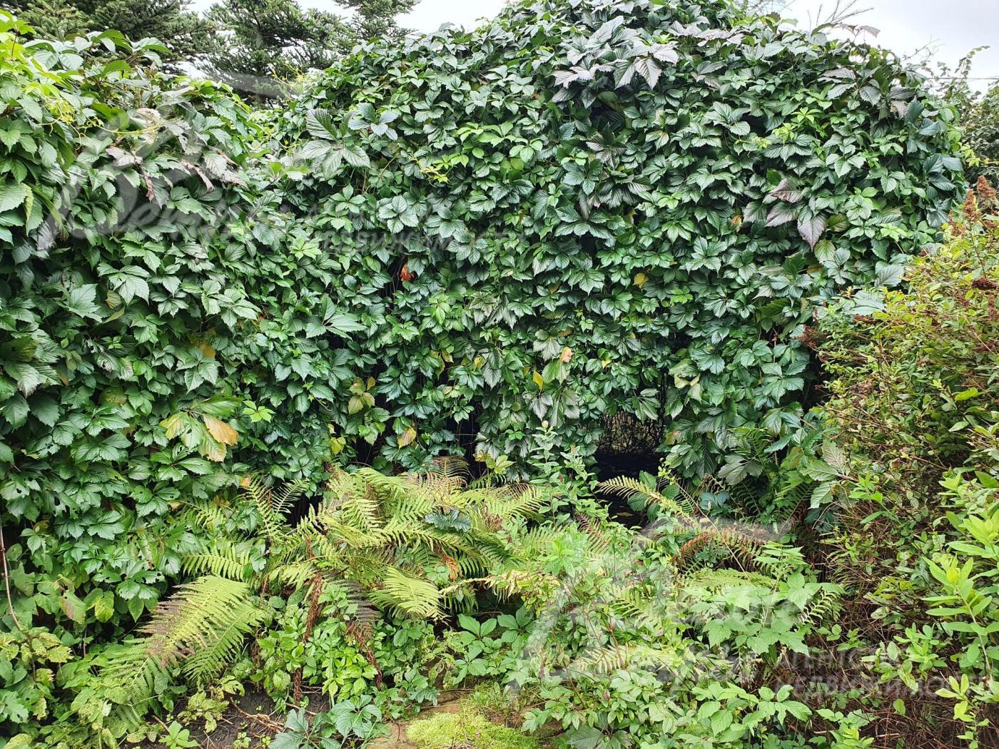 "Живая" беседка