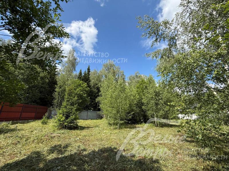 На участке можно реализовать эффектный лесопарковый дизайн ландшафтного дизайна