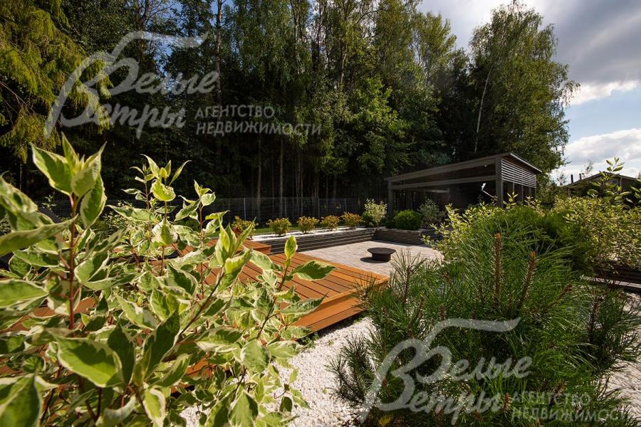 Вид на террасу у леса