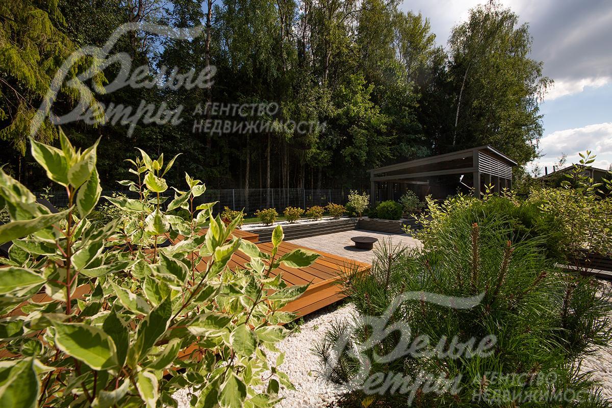 Вид на террасу у леса