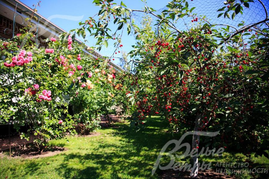 На участке розарий, цветники, около 30 плодовых деревьев