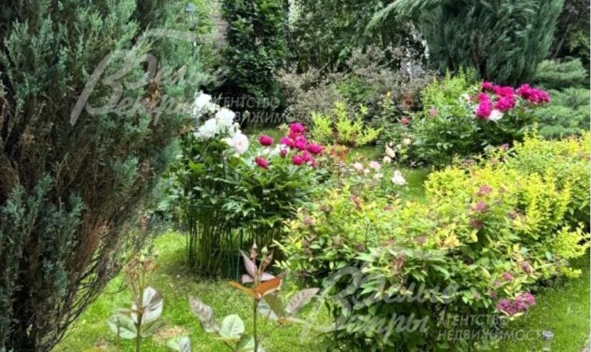 На участке плодовые деревья и цветники