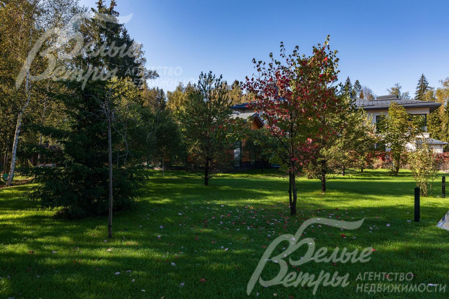 Отдельный уголок отведён под фруктовый сад — здесь растут груши, яблони и сливы; рядом раскинулись кусты красной и чёрной смородины, а также малина