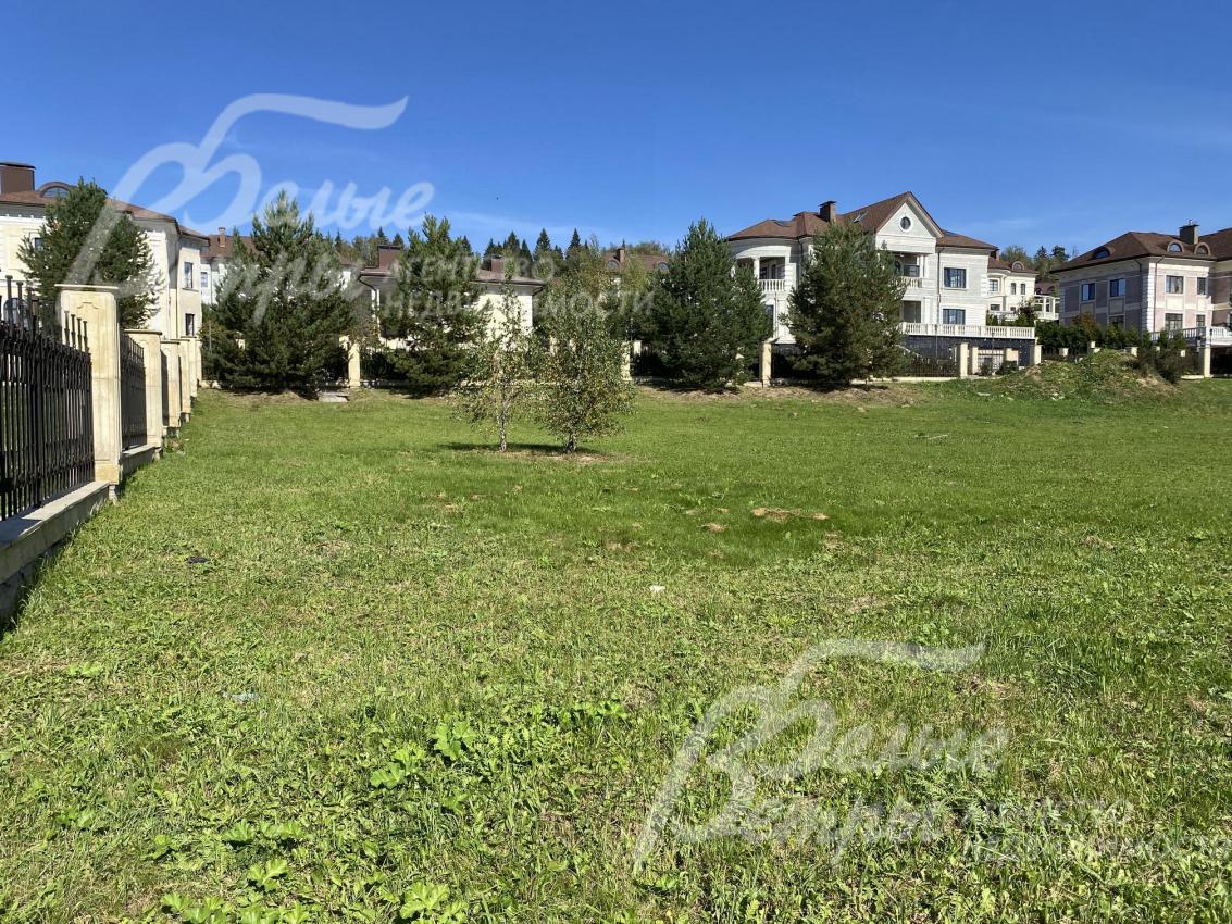 На участки взрослые деревья сосны, березы, ели