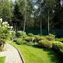 На участке растут более 50 взрослых деревьев