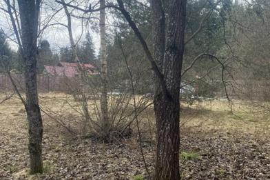 Дом, Новоглаголево к/п (Новоглаголево), 336&nbsp;кв.м