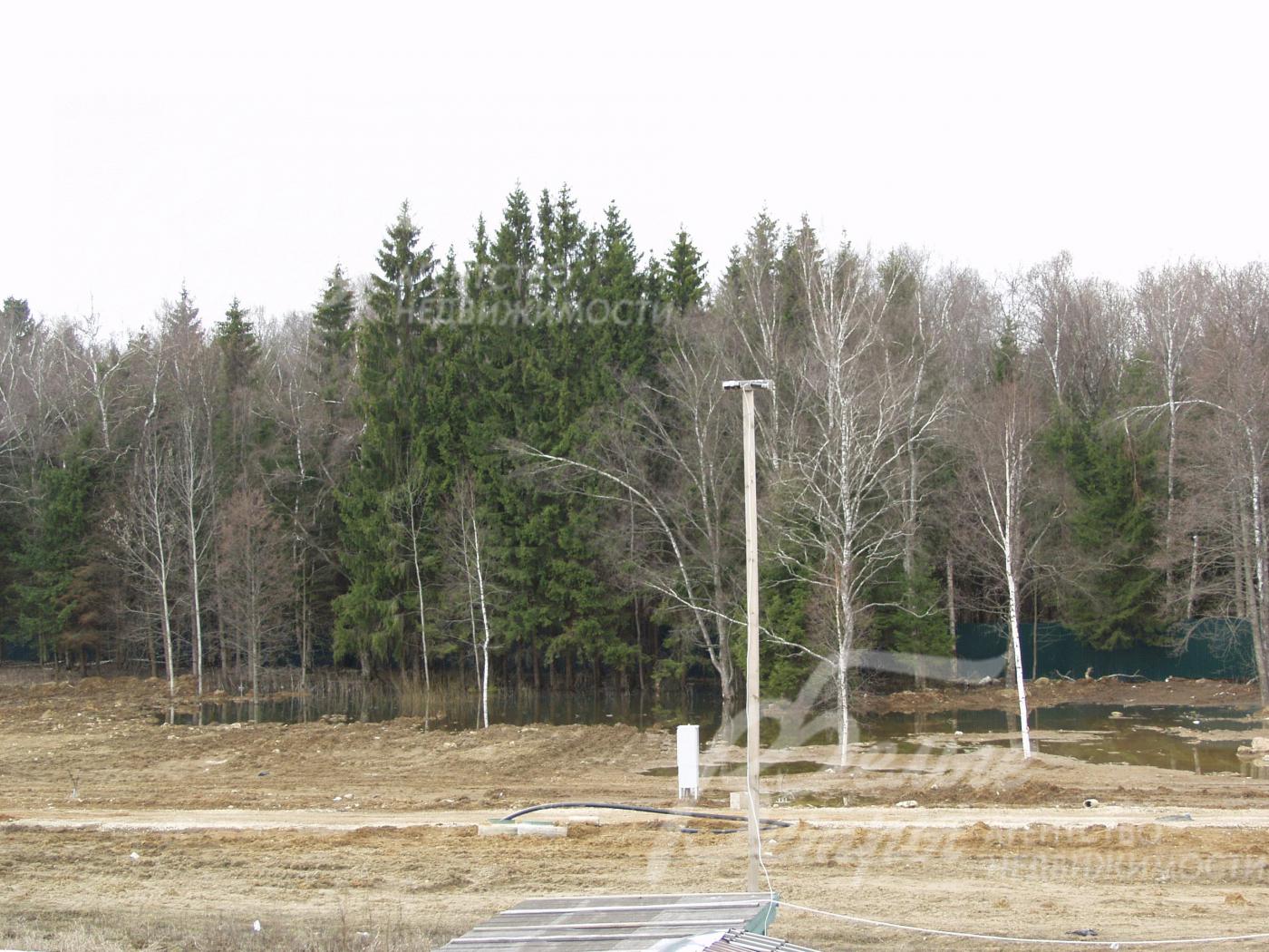 Вид из окна