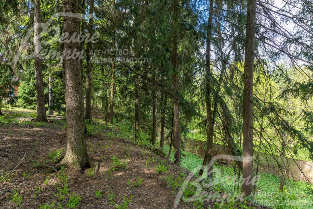 В нижней трети участка – спуск в овра