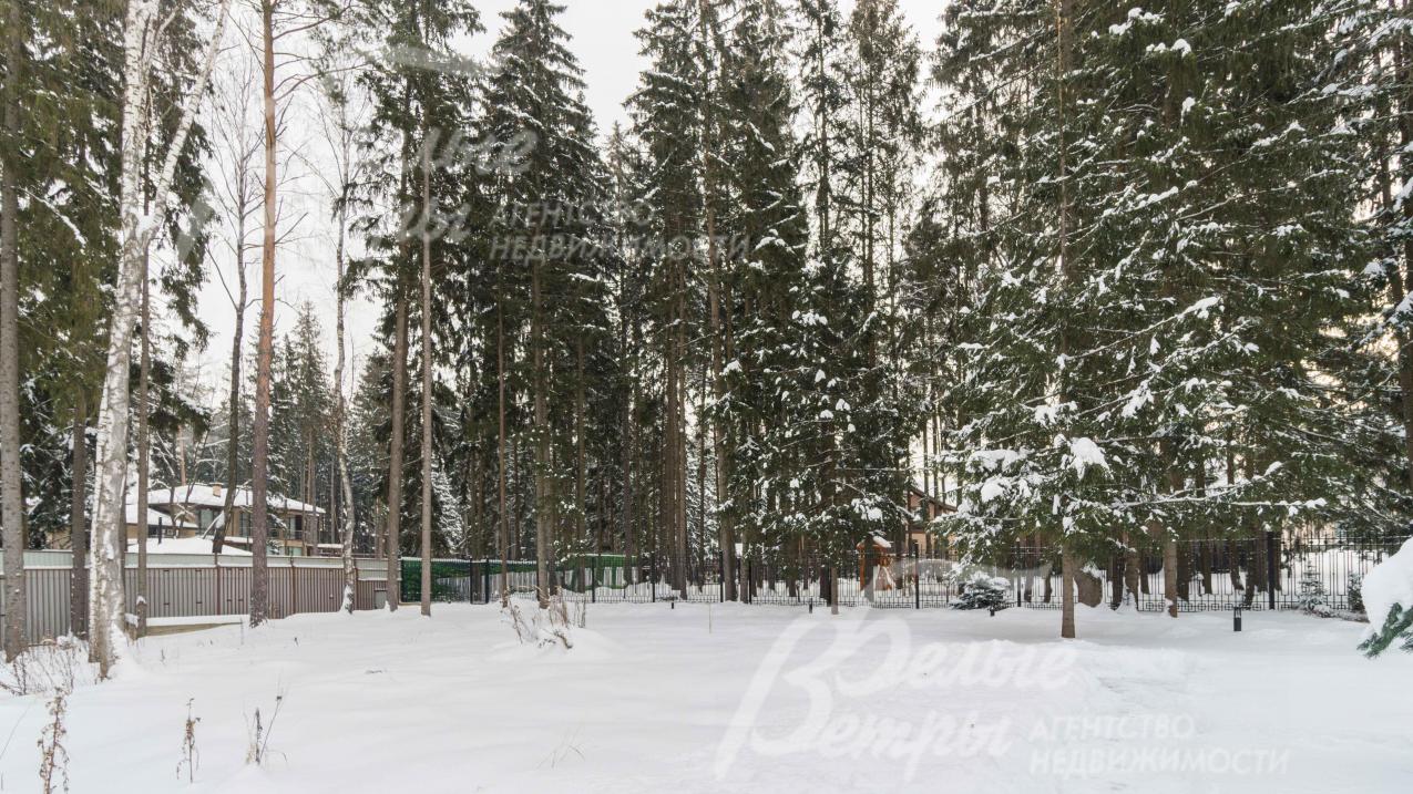 Прилесной участок