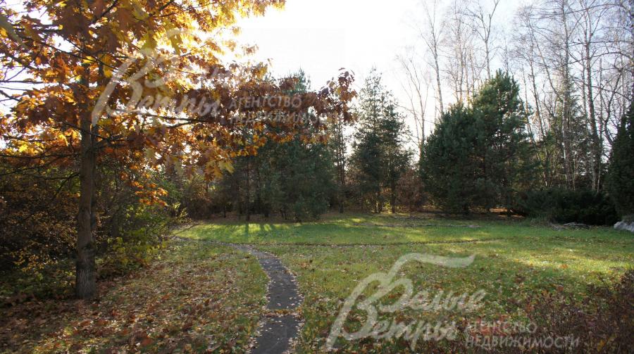 На участке газон, прогулочные дорожки, множество лесных и садовых деревьев