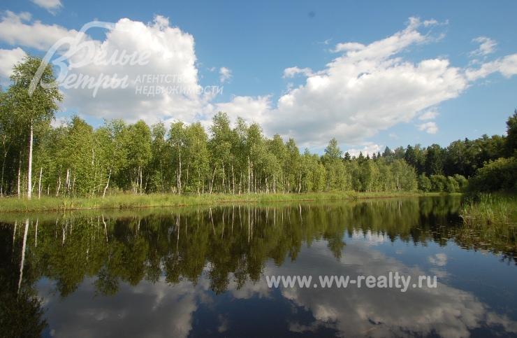 Большой пруд с зоной отдыха на территории поселка