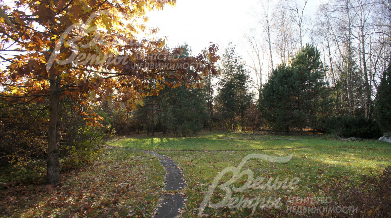 На участке газон, прогулочные дорожки, множество лесных и садовых деревьев
