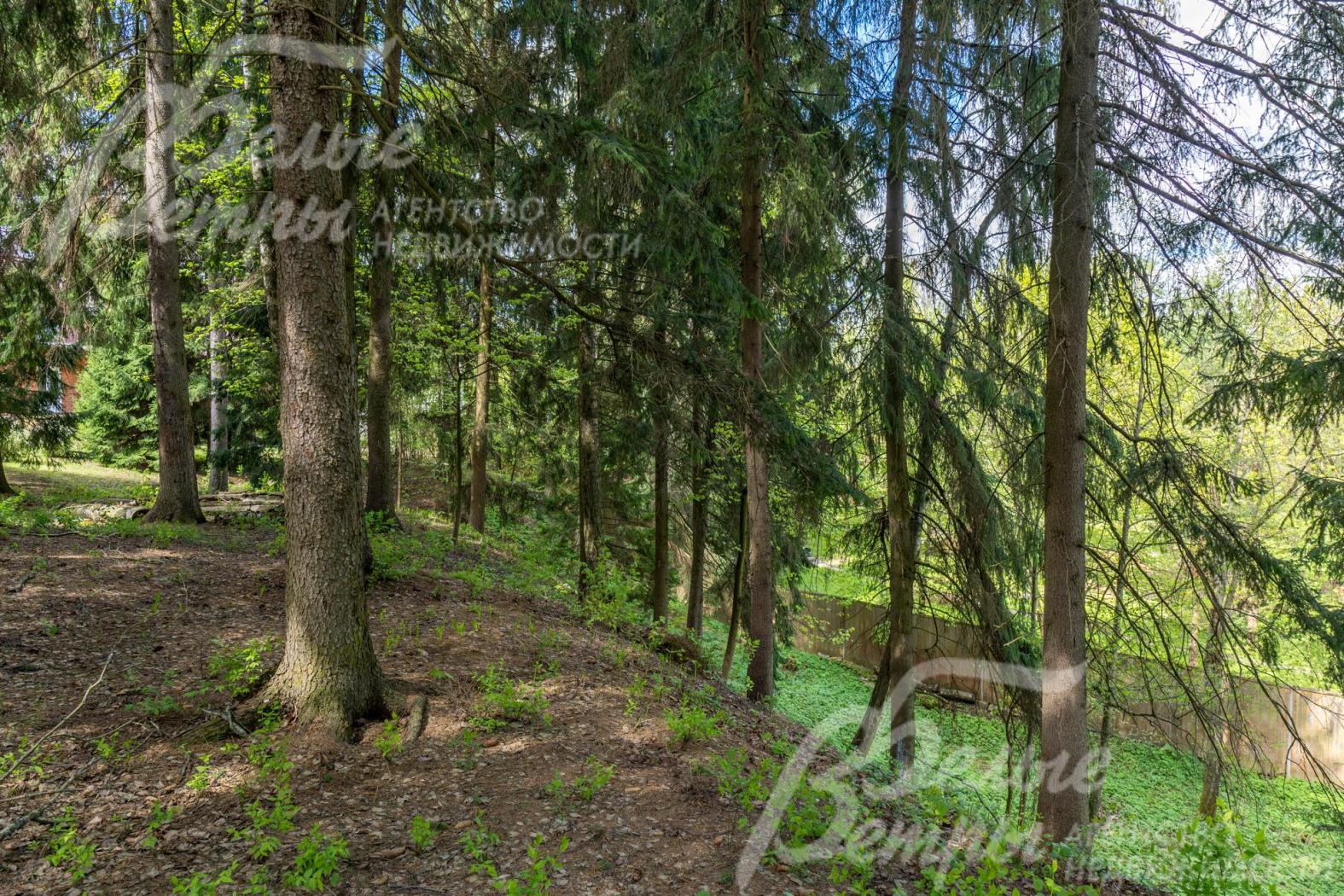 Живописный многоуровневый участок с естественным уклоном