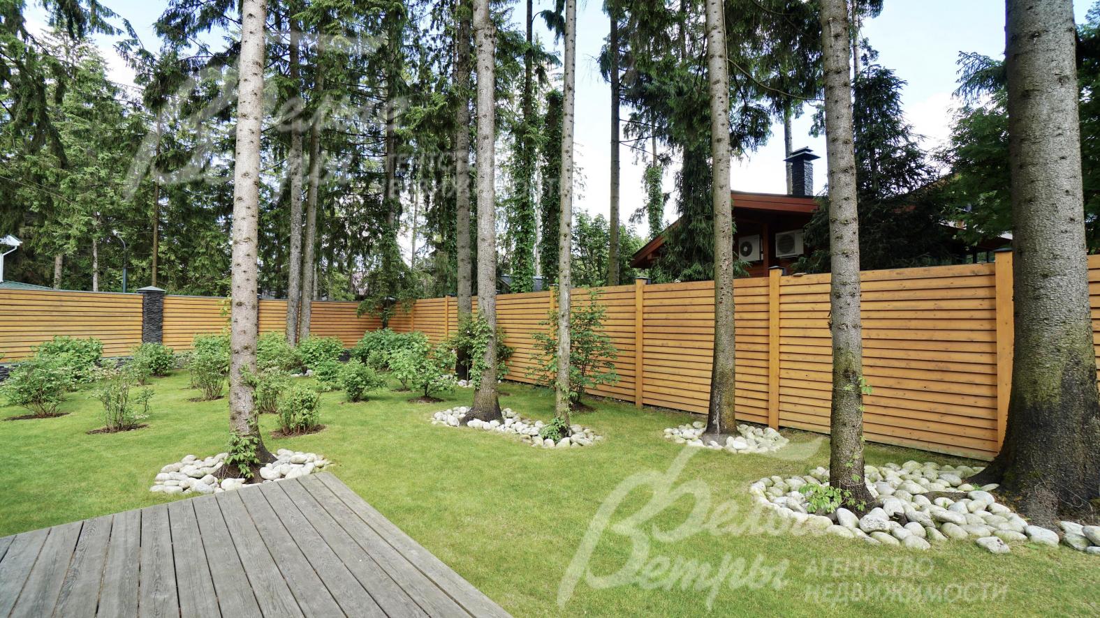 Земельный участок с вековыми елями 17 соток