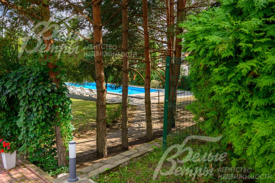 Сосны высотой более 10м отделают зону бассейна от прогулочной зоны