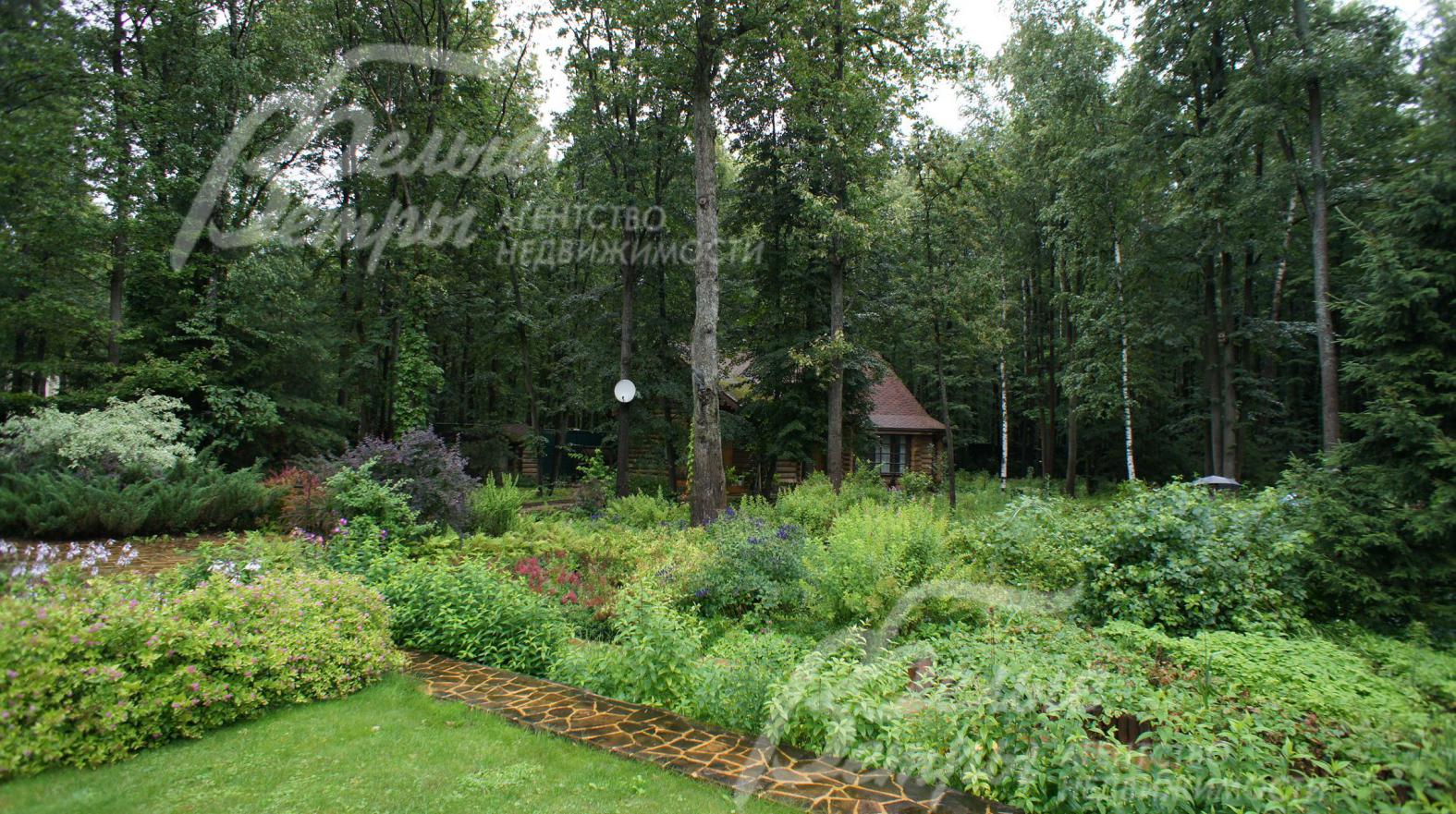 Удивительно-прекрасный смешанный лес на участке взрослые дубы, березы, клены, ели, сосны