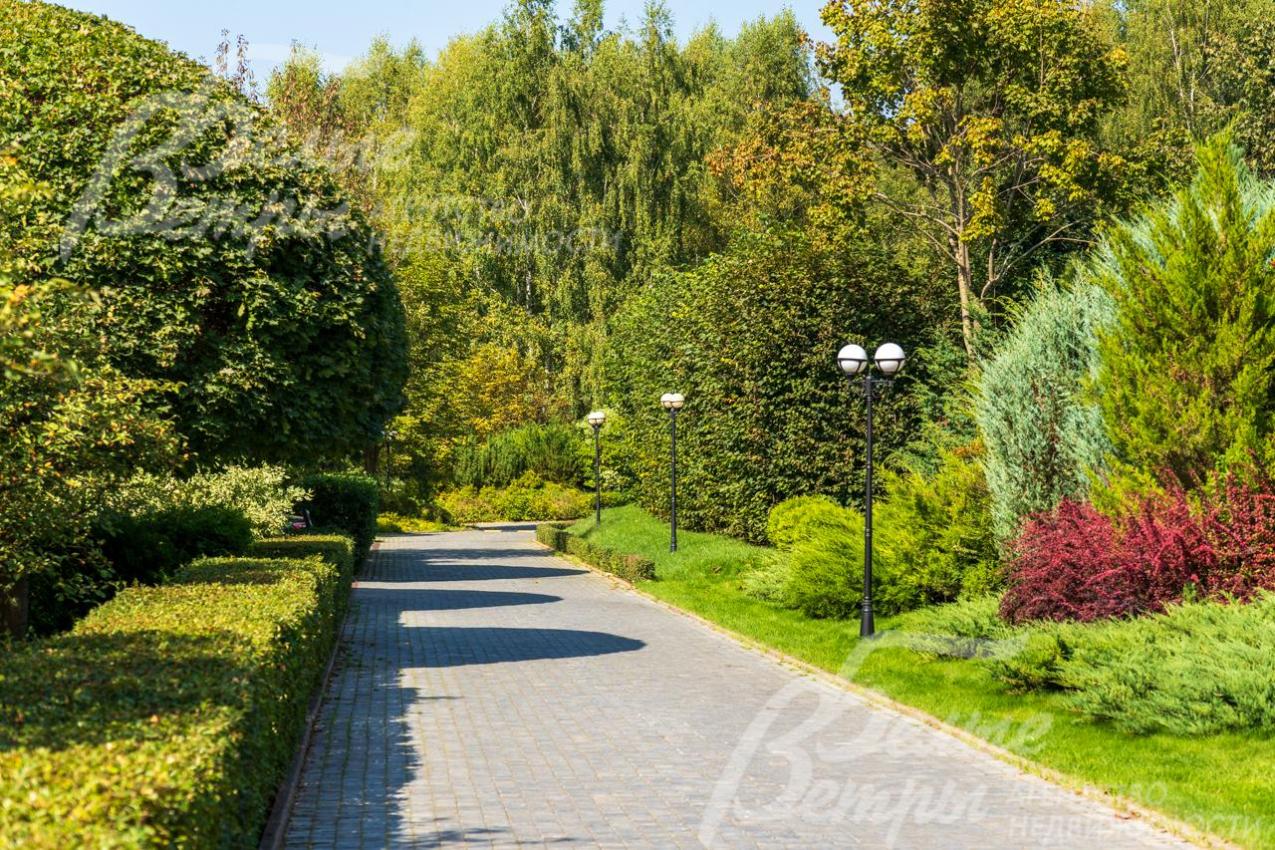 Освещенная зеленая аллея для прогулок и отдыха жителей поселка Варварино-эко