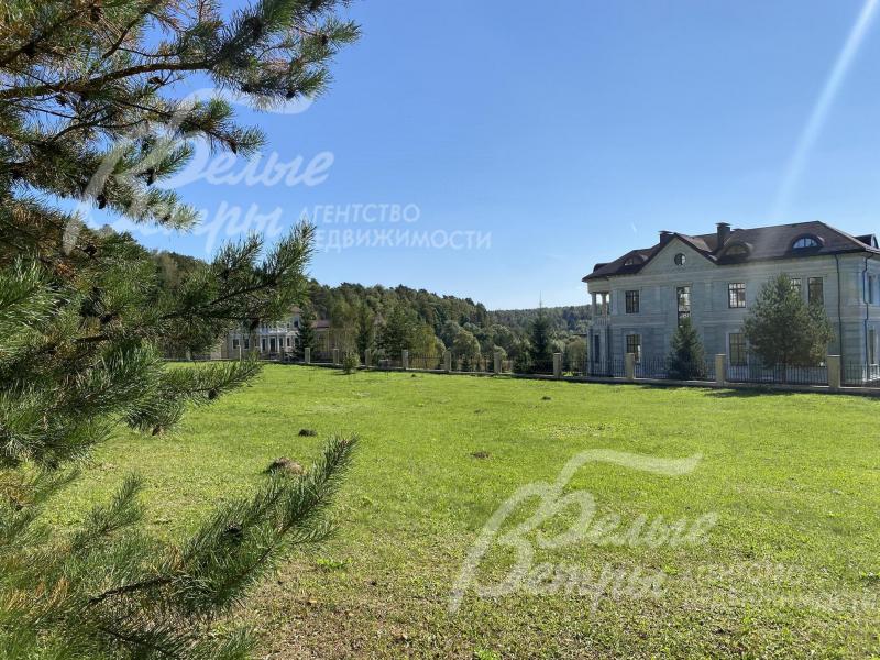 На участке растут взрослые деревья