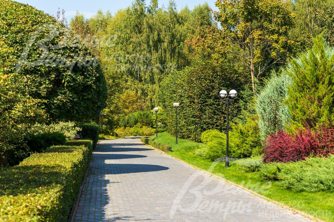 Освещенная зеленая аллея для прогулок и отдыха жителей поселка Варварино-эко