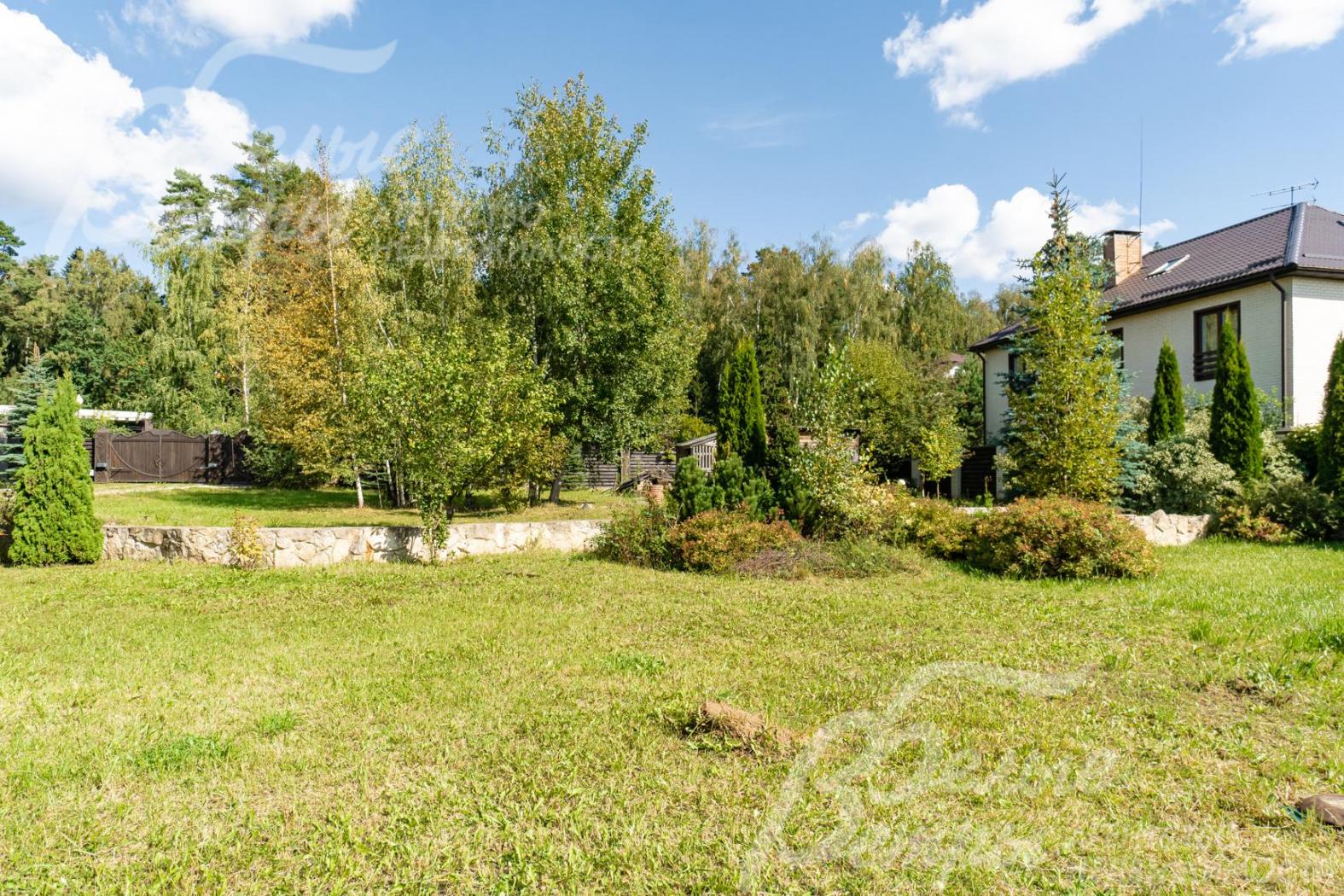 на участке растут молодые березки (11 штук), ели, три туи, сосна