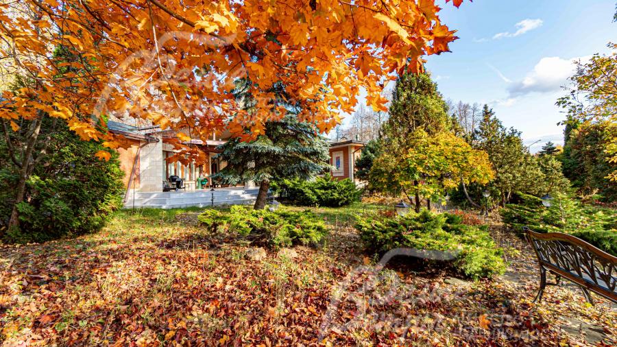 Лесной участок 58 соток с ландшафтным дизайном 