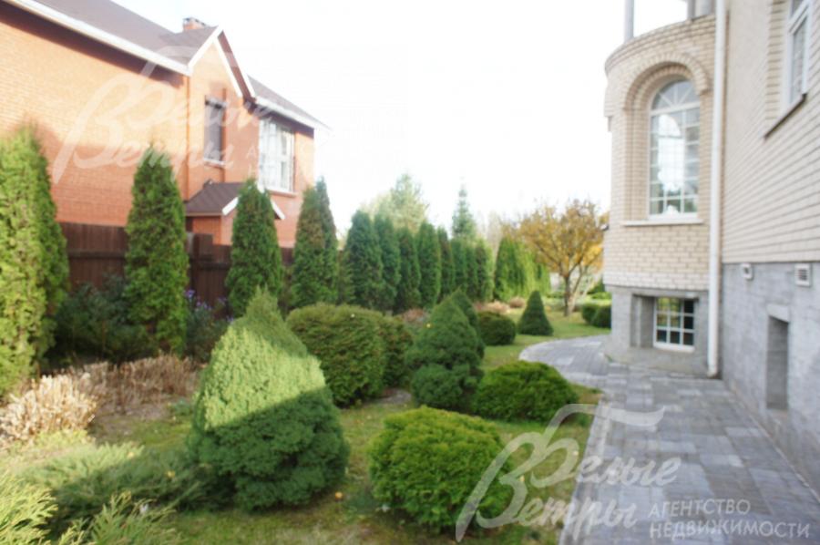 На участке высажено 40 туй, декоративные кустарники и цветники 