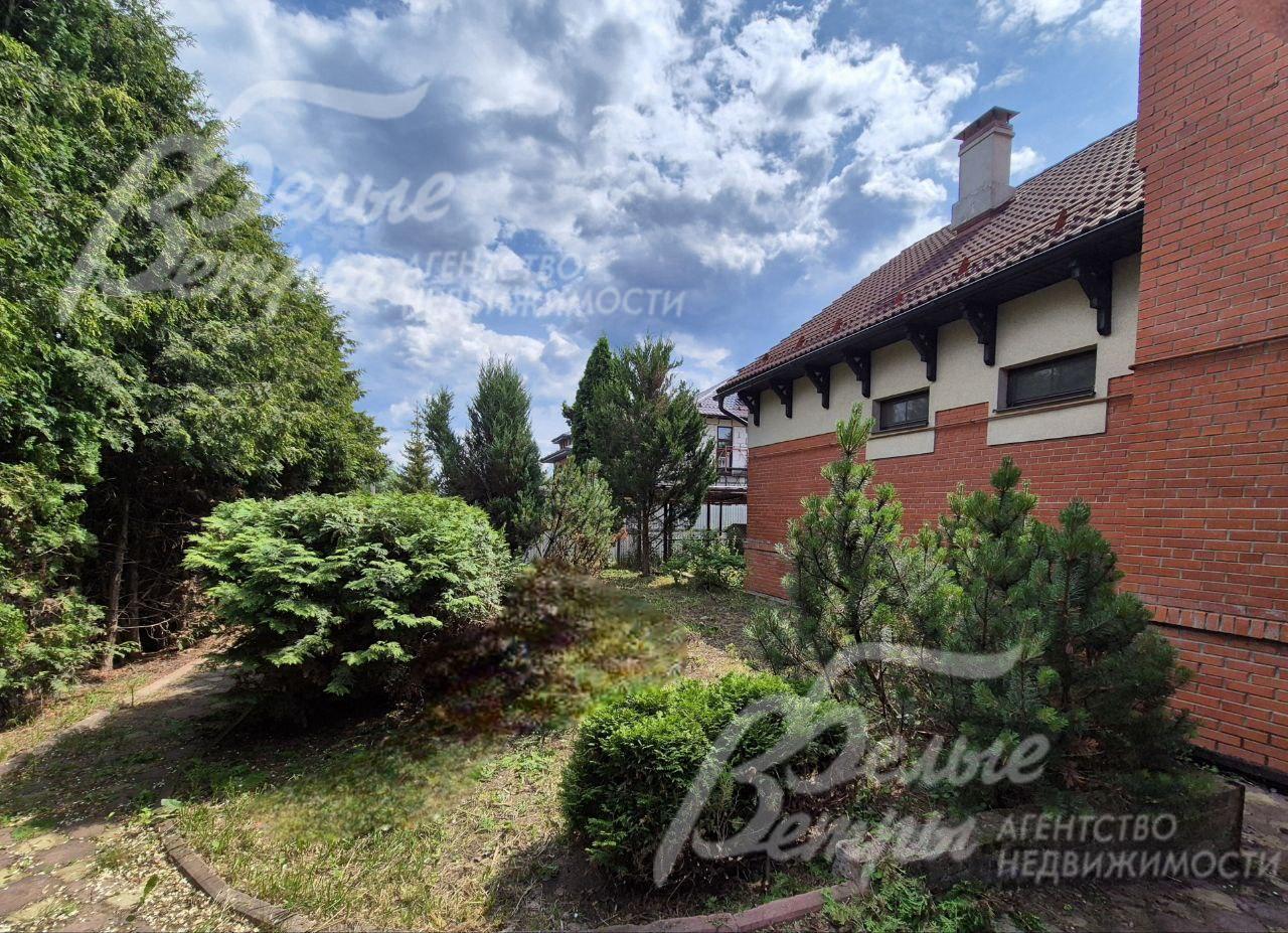 На участке множество лесных и декоративных деревьев и кустарников.