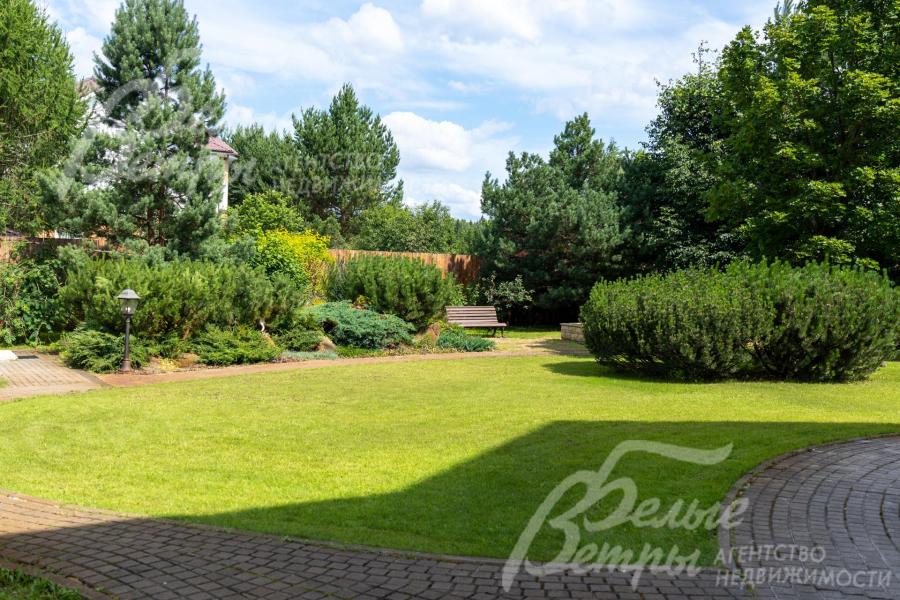 Взрослые сосны и ели высотой более 8 метров