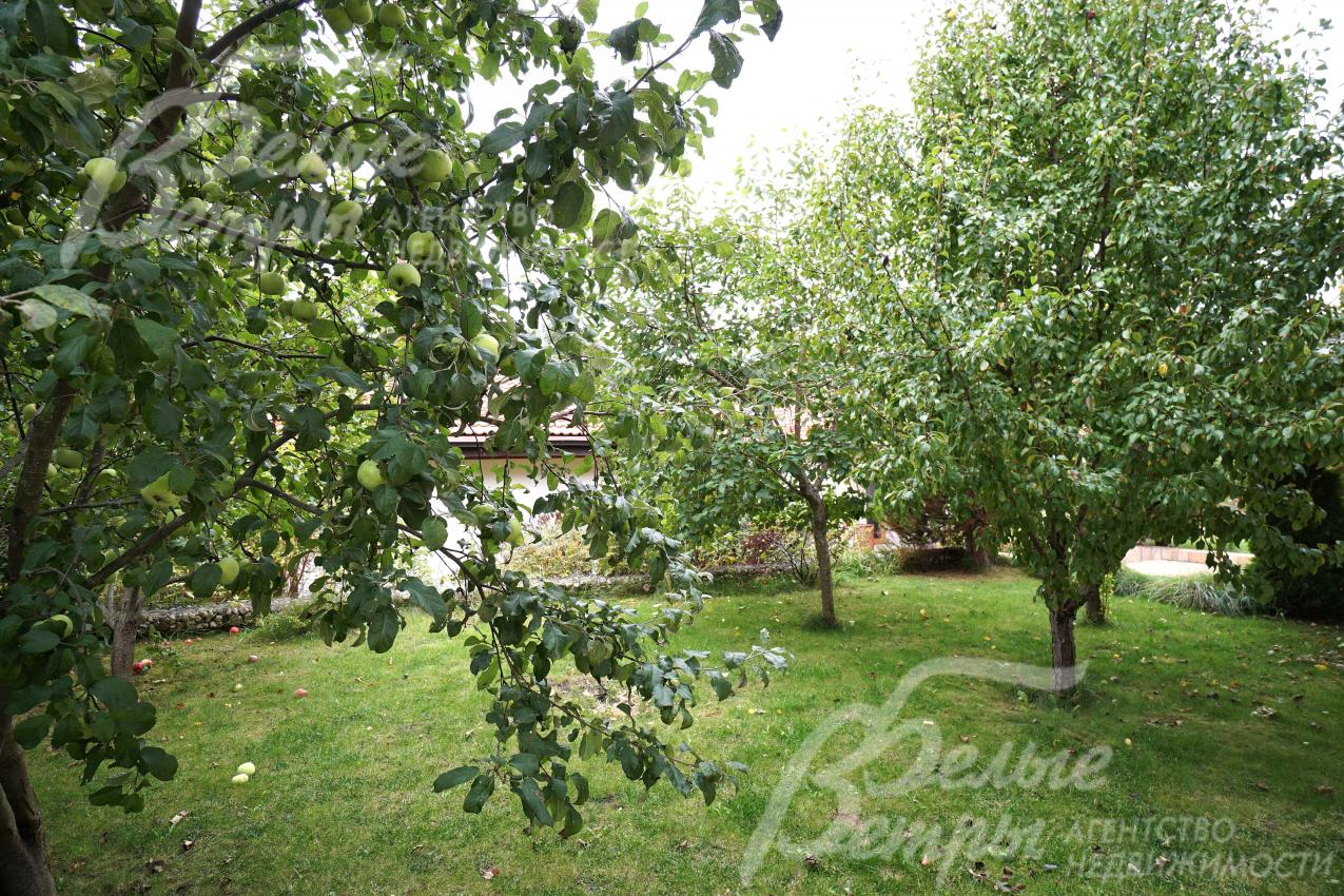 На участке высажено более 50 деревьев и кустарников, в том числе плодовые (яблони, груши)