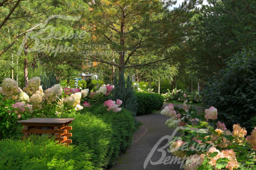 Парк на территории поселка Внуково Теннис Кантри Клаб