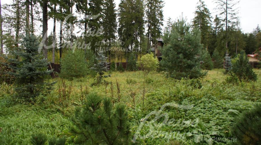 Участок 30 соток