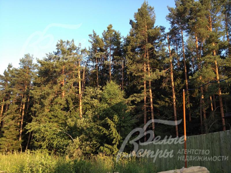 Поселок Глаголево-Парк находится в окружении хвойного леса