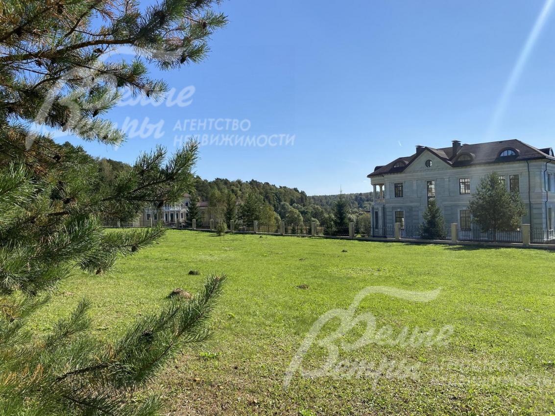 На участке растут взрослые деревья