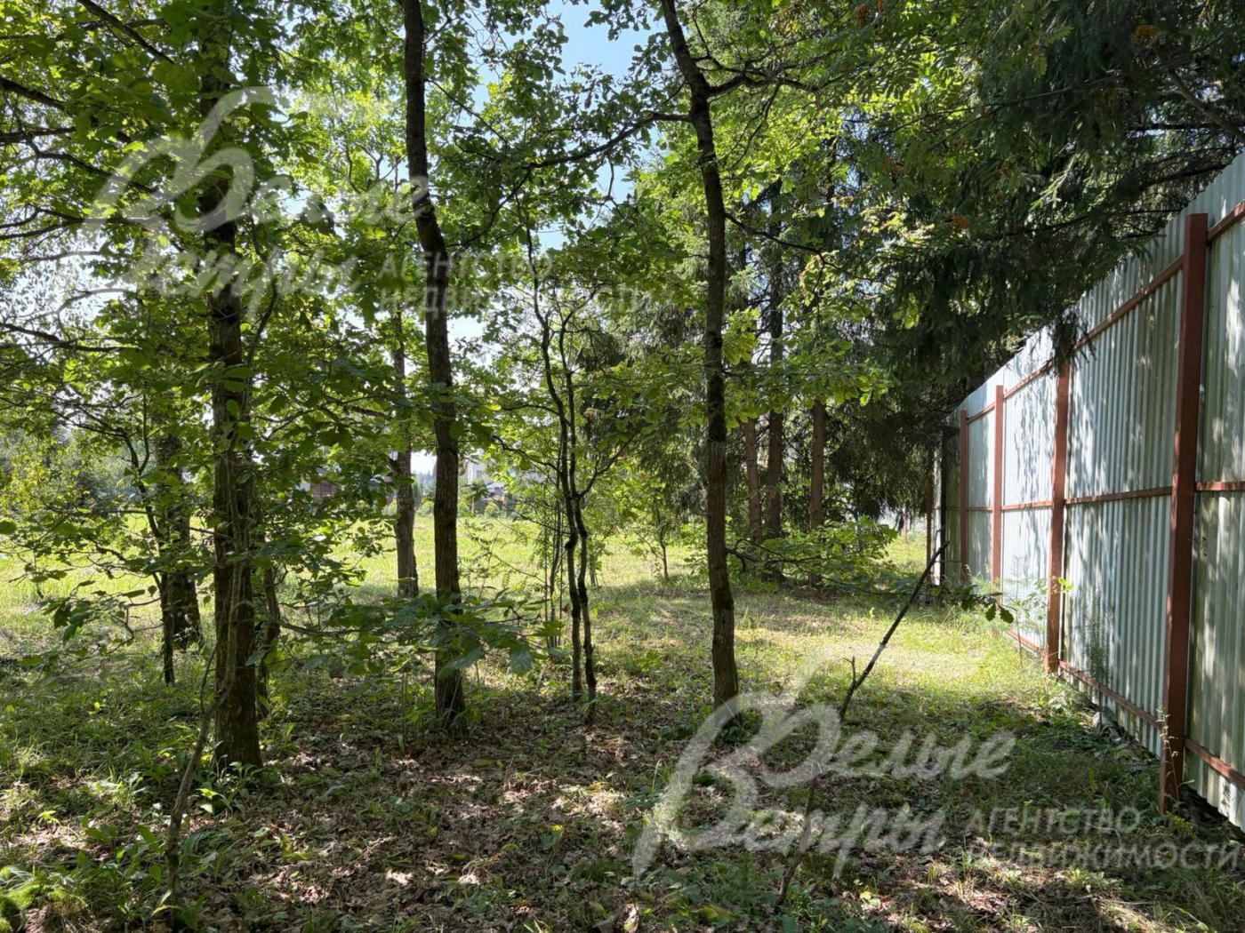 На участке сохранено несколько лесных деревьев для формирования эффектного ландшафтного дизайна