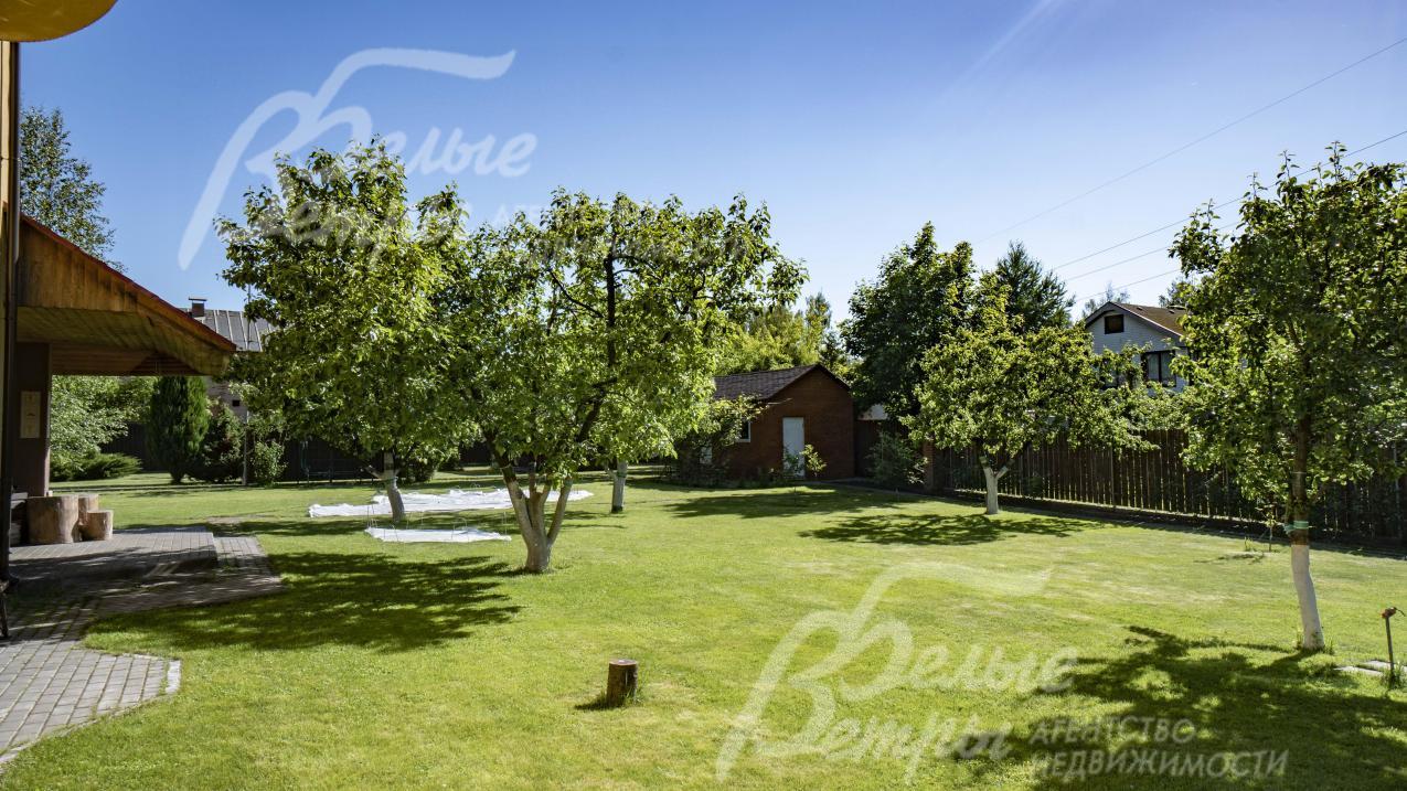 Ухоженный газон