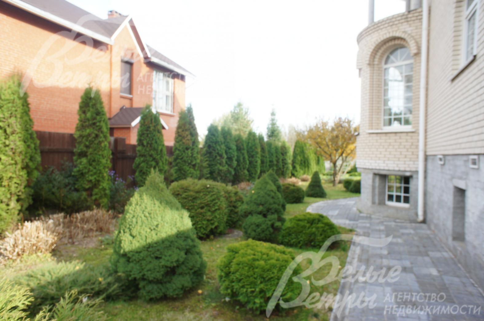 На участке высажено 40 туй, декоративные кустарники и цветники 