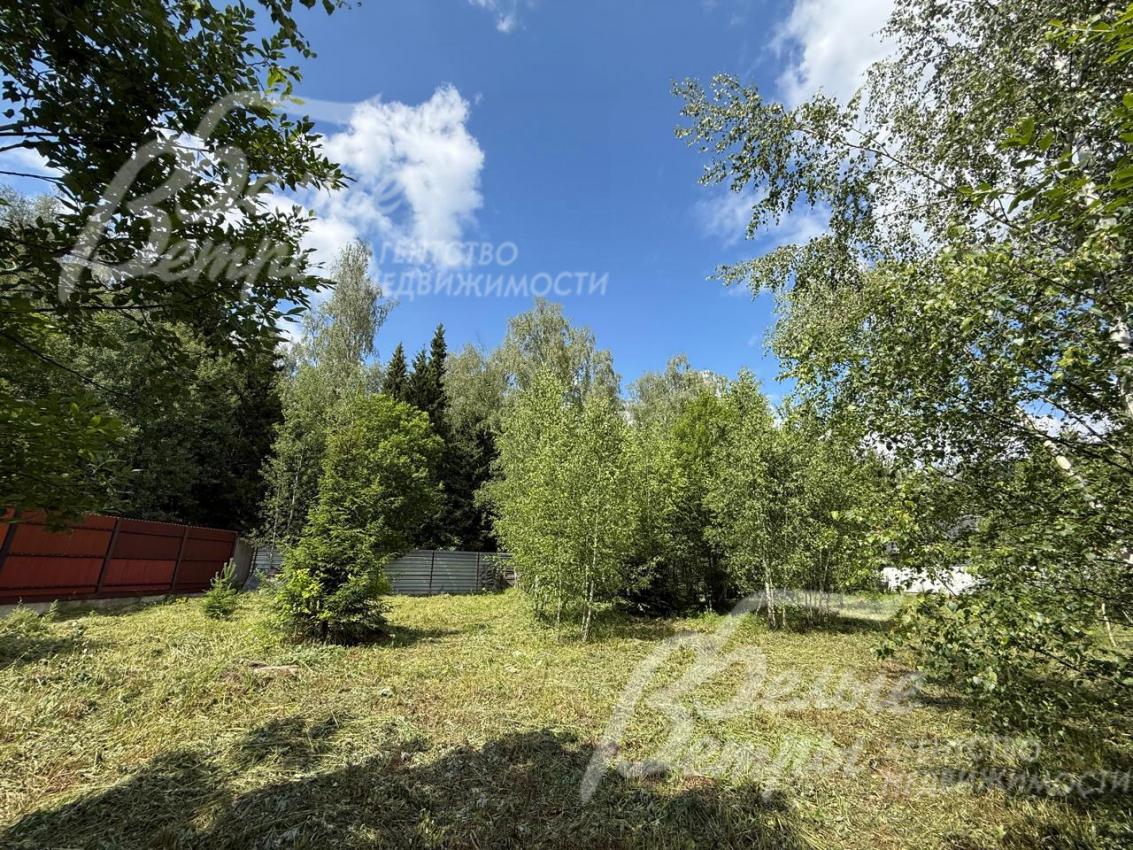 На участке можно реализовать эффектный лесопарковый дизайн ландшафтного дизайна