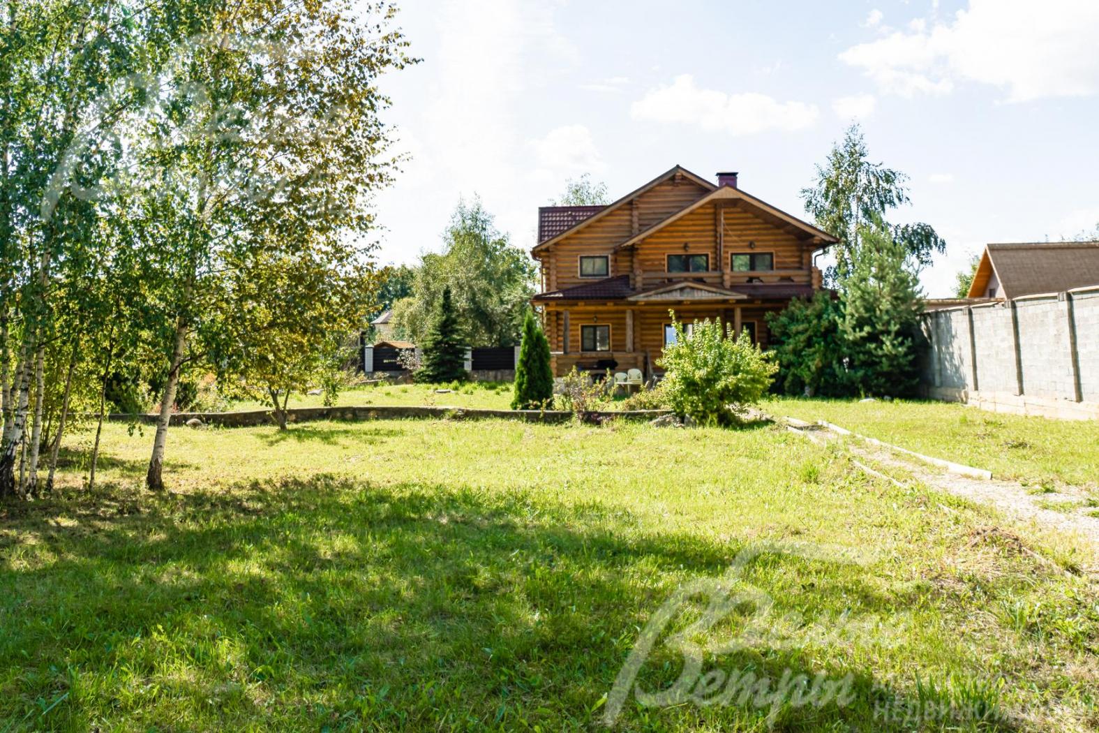 Растут молодые березки, туи, голубая ель, сосна.