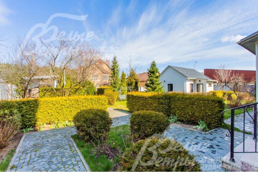 Множество декоративных деревьев и кустарников