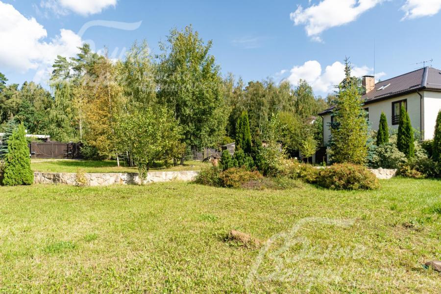 на участке растут молодые березки (11 штук), ели, три туи, сосна