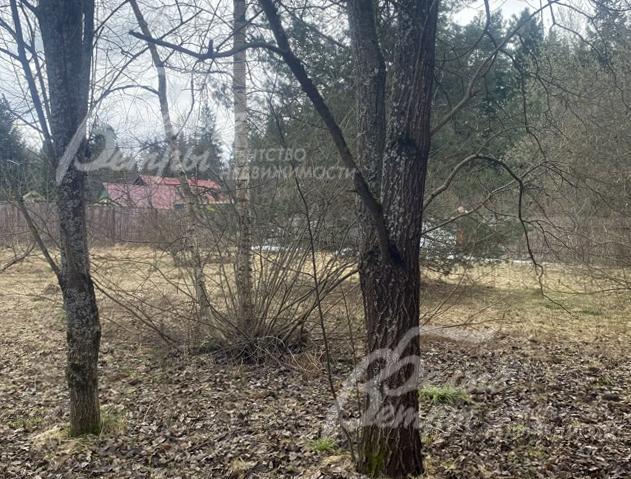 Участок объединяет в себе природную эстетику, территорию, подготовленную для реализации ландшафтного дизайна, и удобное расположение