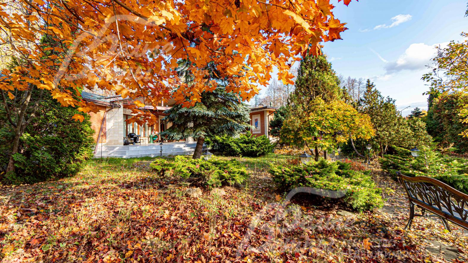 Лесной участок 58 соток с ландшафтным дизайном 