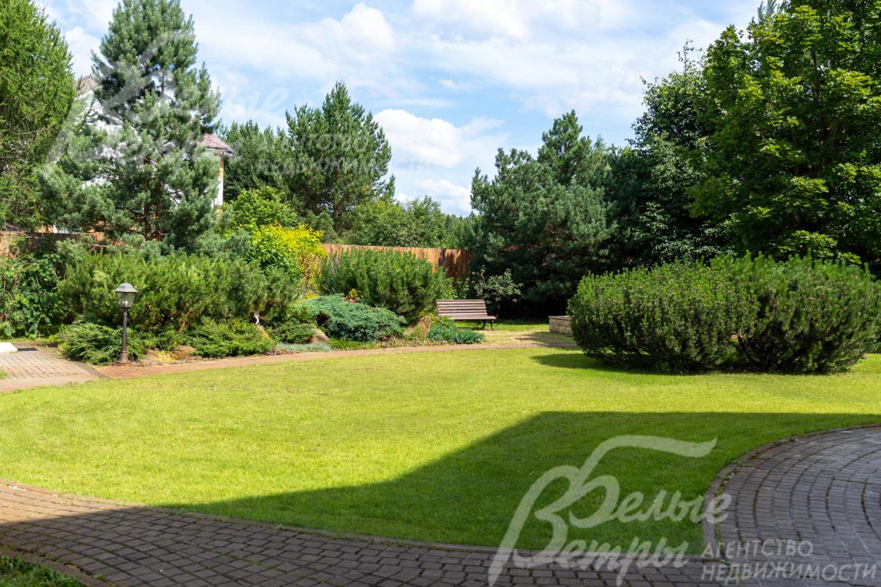 Взрослые сосны и ели высотой более 8 метров