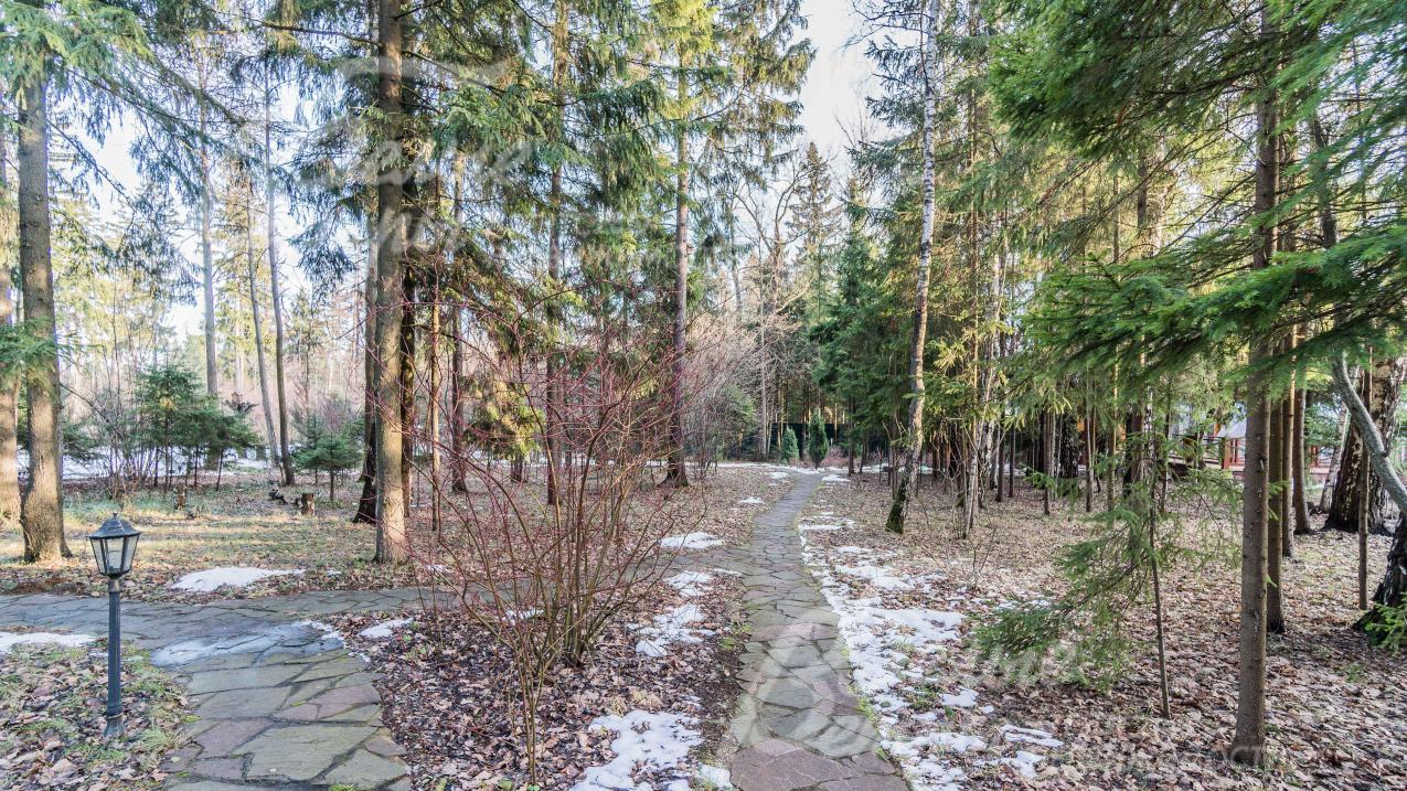 Лес 63 сотки в долгосрочной аренде